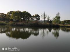 -新江湾城公园