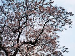 -成都市文化公园
