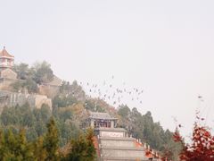 -灵山