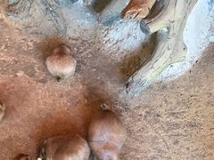 -北戴河集发农业梦想王国