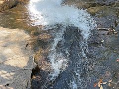 -广州白江湖森林公园