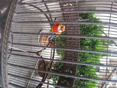 android_upload_pic-老味道民宿(栈桥店)