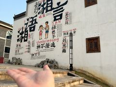-洋湖国家湿地公园