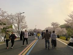 -羊山湖公园