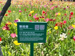 -大宁公园