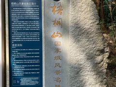 -梧桐山风景名胜区