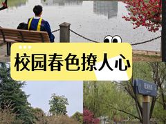 -南京航空航天大学(将军路校区)