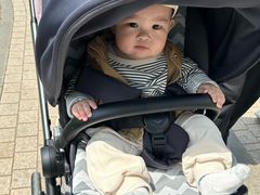 -迎泽公园