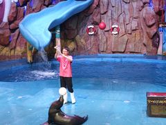 -烟台海昌鲸鲨海洋公园