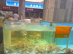 -国惠大酒楼(仓山万达店)