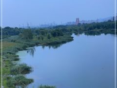 -滨河世纪广场公园