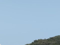 -野狸岛