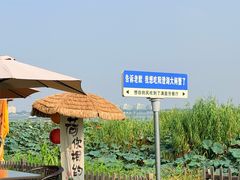 -阳澄湖半岛旅游度假区