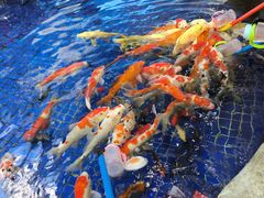 -鸿通城购物中心