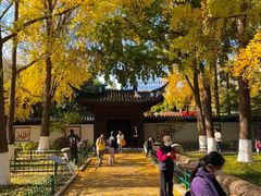 -郑和公园