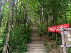 -东白山