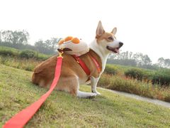 -桤木河湿地公园