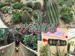 -正佳雨林生态植物园