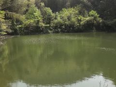 -北仑森林植物园