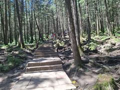-芦芽山旅游度假区