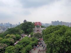-黄鹤楼公园(黄鹤楼)