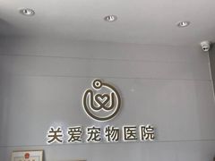 -关爱宠物医院·猫科中心·消化科(滨湖万达分院)
