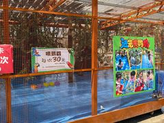 -长白岛森林公园