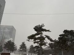 -清华东路西口(地铁站)