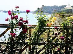 -望湖烤鱼