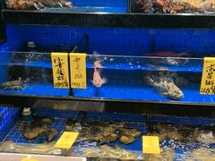 -德云居