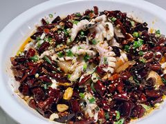 -三猫黑鱼花(南大店)
