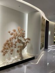 -雅荷悦来双美