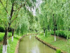 -上海鲜花港