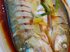 -老马家·舌尖上的西塘美食