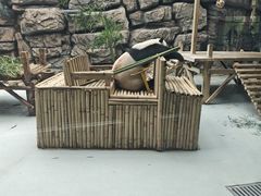 -大青山野生动物园