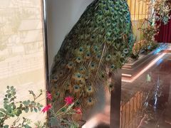 -俏江南天津时尚曲艺主题餐厅(马场道店)