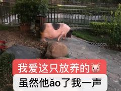 -紫竹轩私房菜(江南西路店)