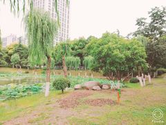 -后襄河公园