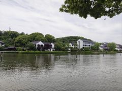 -鲁镇