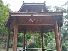 -金鸡山公园