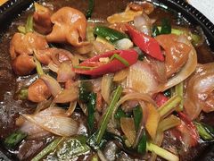 -宋小谨(惠安禹洲店)