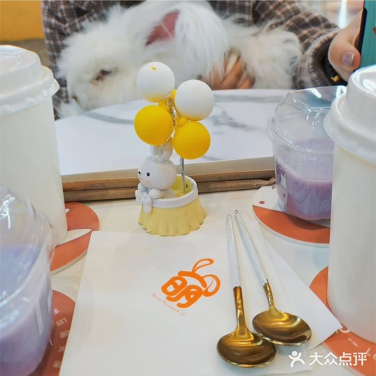 长沙探店 Nice to meet u  萌兔体验馆