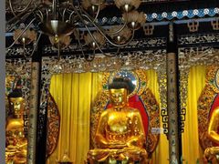 -宝莲禅寺