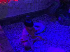 -水晶之星洗浴温泉汗蒸