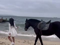 -玫瑰海岸文化旅游度假区