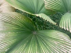 -华南国家植物园-售票处