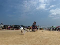 -养马岛旅游度假区