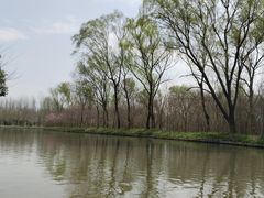 -溱湖国家湿地公园