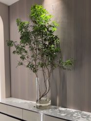 -丽都整形美容医院·全国连锁旗舰店
