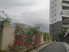 -九毛九西北菜(大东海店)